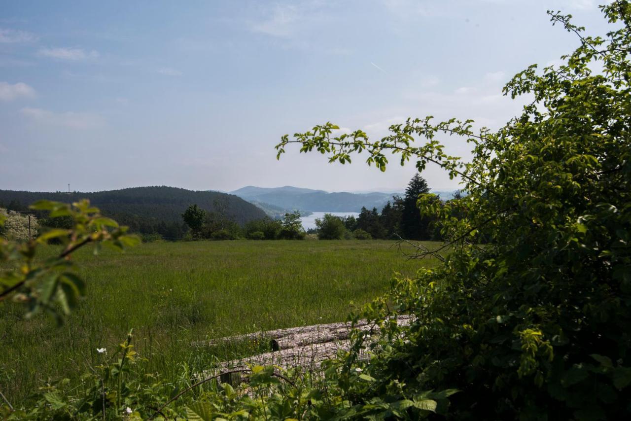 Wellness Bungalov - Vodni Nadrz Slapy - 40Km Od Prahy Necin المظهر الخارجي الصورة